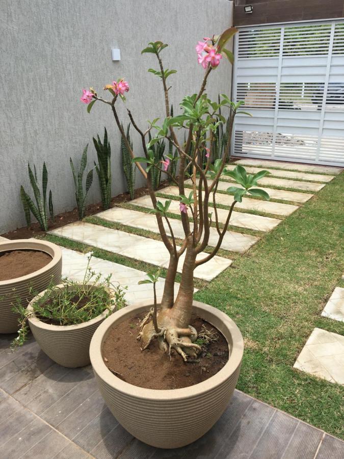 Casa De Praia Tamandaré Eksteriør billede